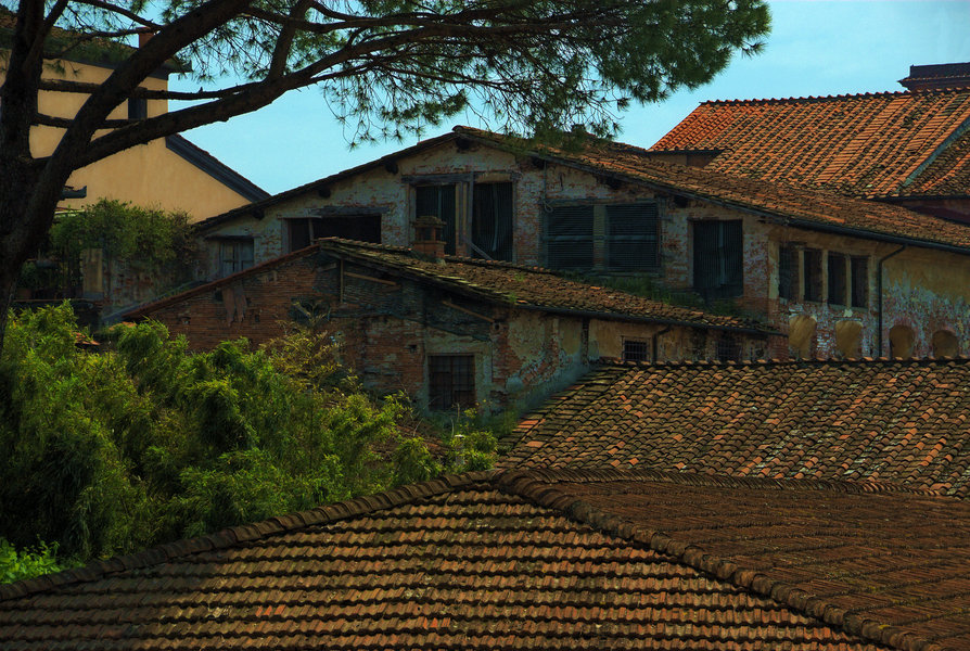 Lucca Old Buildings